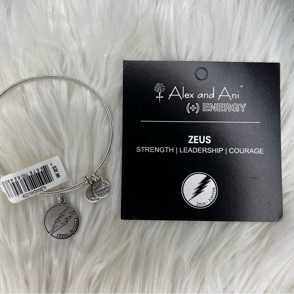 Alex and Ani Zeus Jupiter Rafaelian Silver Greek God Charm Bangle Bracelet